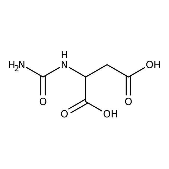 N-Carbamoyl-DL-aspartic acid, 98%, Thermo Scientific Chemicals