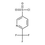 6-(Trifluoromethyl)pyridine-3-sulfonyl chloride, 97%, Thermo Scientific Chemicals