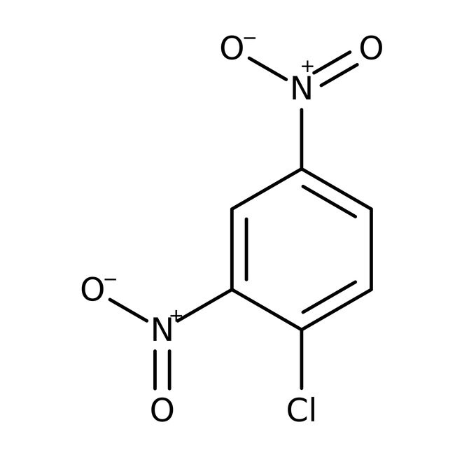 1-Chloro-2,4-dinitrobenzene, 98%, Thermo Scientific Chemicals