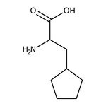 3-Cyclopentyl-L-alanine, 95%, Thermo Scientific Chemicals