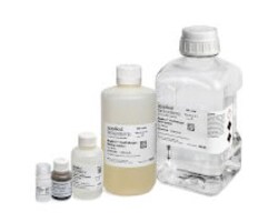 RNA Isolation and Purification Products