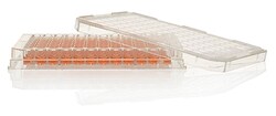 Nunc™ MicroWell™ 96-Well, Nunclon Delta-Treated, Flat-Bottom Microplate