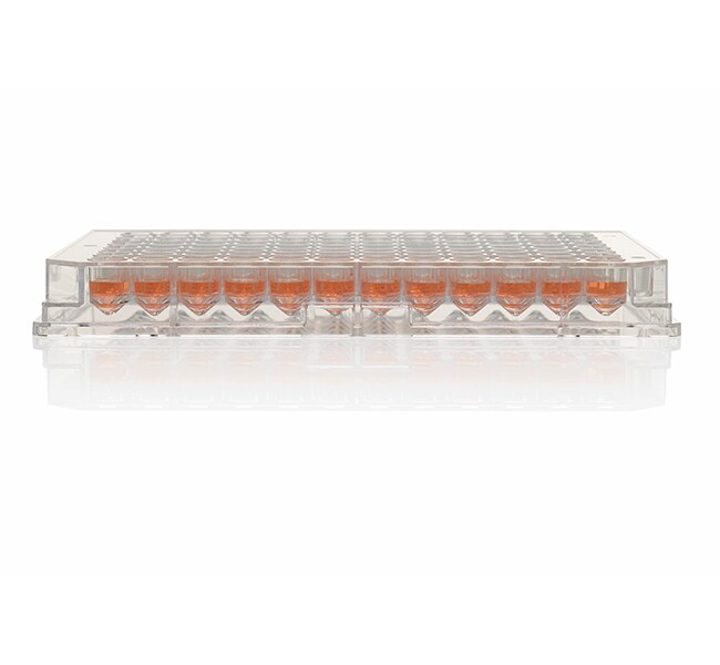 Nunc&trade; MicroWell&trade; 96-Well Microplates