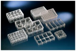 Nunc™ Cell-Culture Treated Multidishes