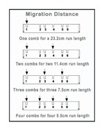 A2 and A5 Large Gel Electrophoresis System Standard Comb