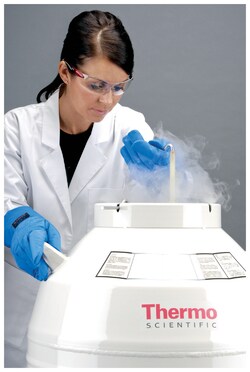 Thermo Scientific Thermo Series Liquid Nitrogen Transfer Vessels:Cold  Storage