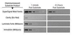 SuperSignal™ West Femto Maximum Sensitivity Substrate SuperSignal™ West Femto Maximum Sensitivity Substrate