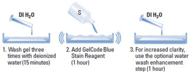 GelCode™ Blue Färbungsreagenz