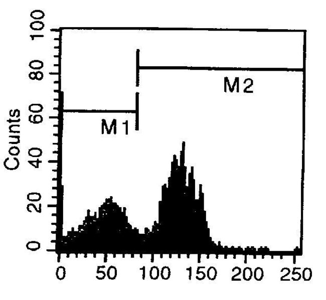 CD40 Monoclonal Antibody (3/23), Biotin