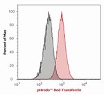 pHrodo&trade; Red and Green Epidermal Growth Factor (EGF) and pHrodo&trade; Red Transferrin Conjugates