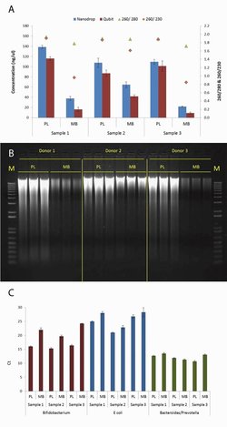 蜉蝣 / biological sister / 1stプレス限定3,000枚 蜉蝣 / biological sister / 1stプレス限定3,000枚 Vinyl of the day