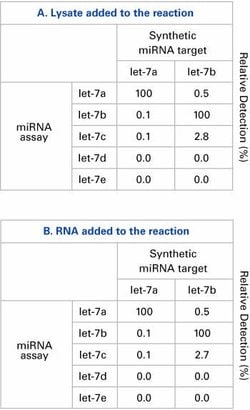 TaqMan™ MicroRNA Cells-to-CT™ Kit 100 reactions | Buy Online