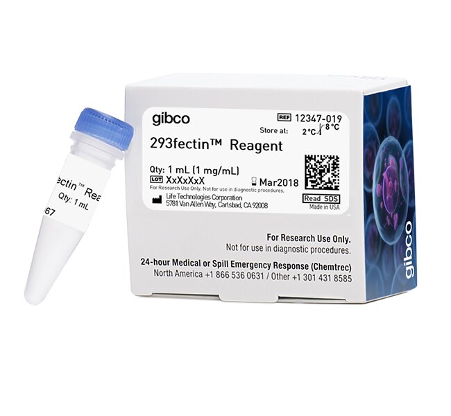 293fectin&trade; Transfection Reagent