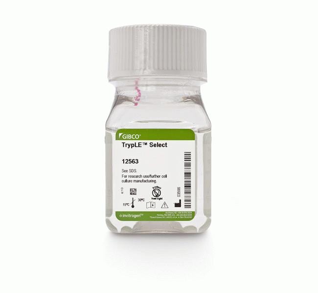 TrypLE&trade; Select Enzyme (1X), no phenol red
