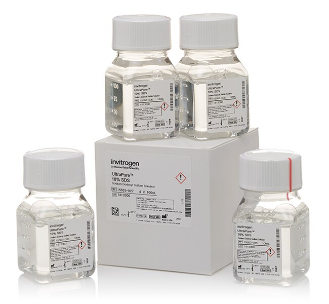 UltraPure&trade; SDS Solution, 10%