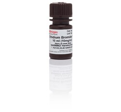UltraPure&trade; Ethidium Bromide, 10 mg/mL
