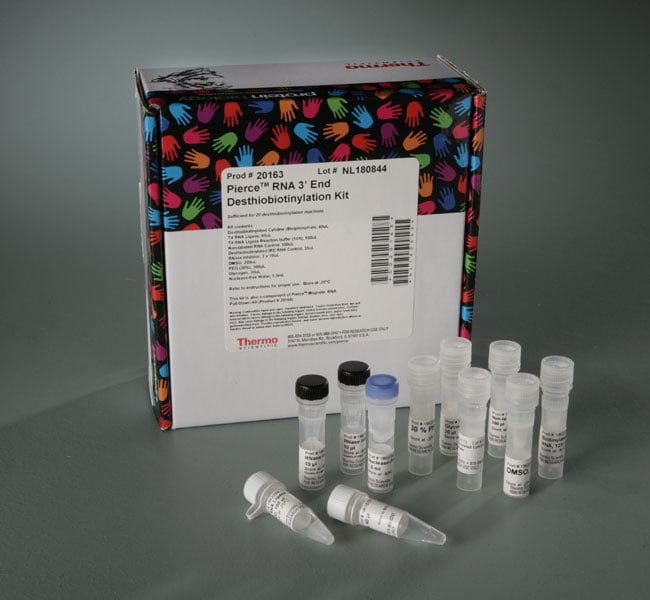 Pierce&trade; RNA 3' End Desthiobiotinylation Kit