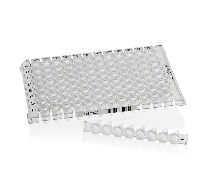 Armadillo&trade; Low-Profile PCR Strip Plate, 96 well, clear