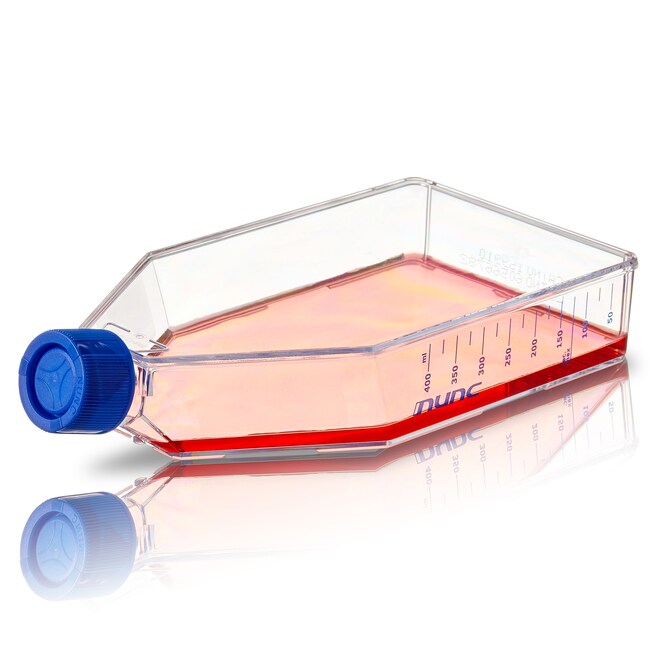 Nunc&trade; Cell Culture Treated Flasks with Solid Caps