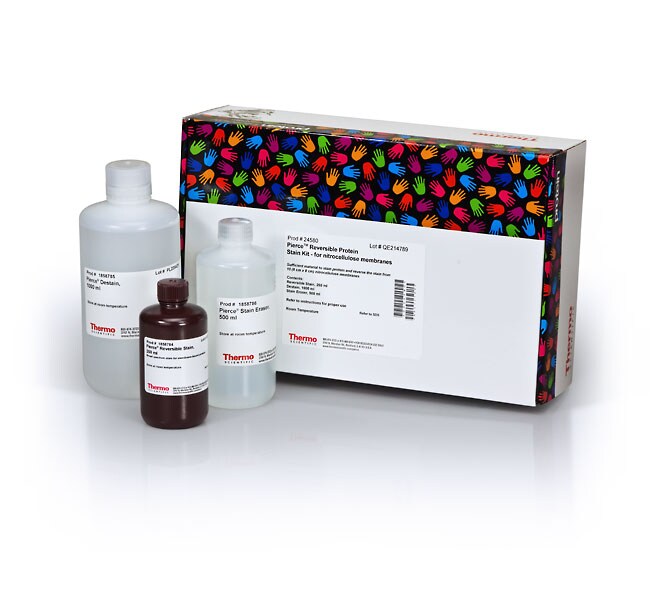Pierce&trade; Reversible Protein Stain Kit for Nitrocellulose Membranes