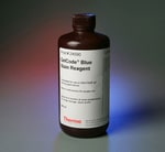 GelCode&trade; Blue Stain Reagent