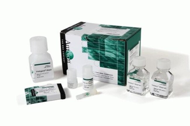 Stabilized Blood-to-C<sub>T</sub>&trade; Nucleic Acid Preparation Kit for qPCR, compatible with either PAXgene&trade; or Tempus&trade; Blood RNA Tubes