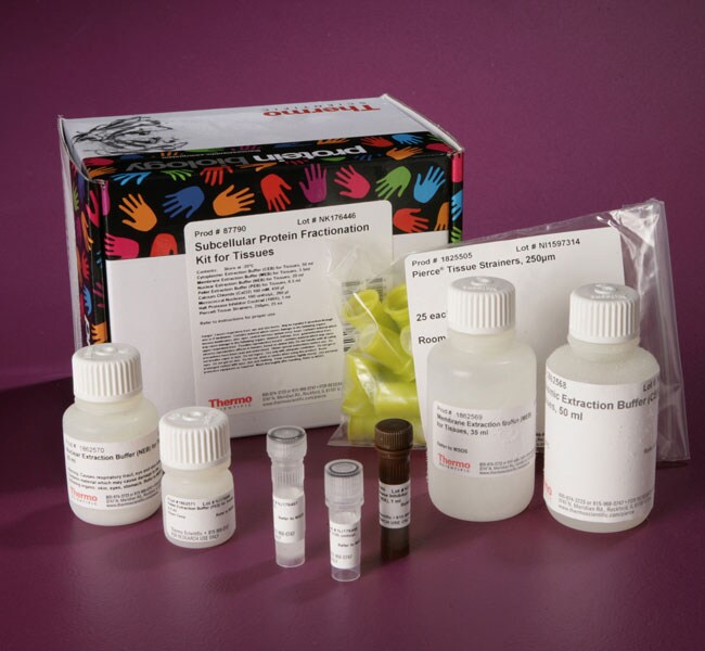 Subcellular Protein Fractionation Kit for Tissues
