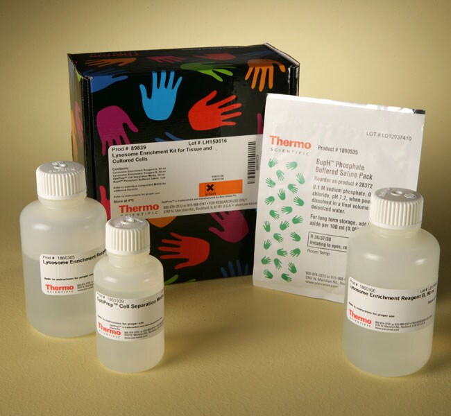 Lysosome Enrichment Kit for Tissues and Cultured Cells