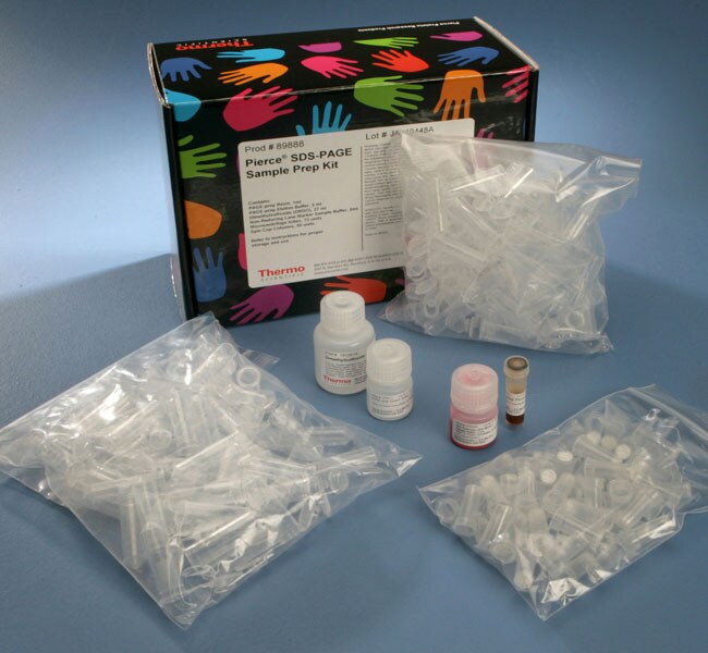 Pierce&trade; SDS-PAGE Sample Prep Kit