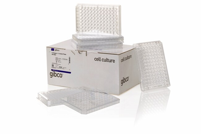96-well, Collagen Type I-Coated, Flat-Bottom Microplates
