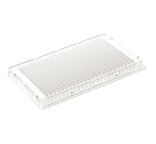 Armadillo PCR Plate, 384-well, clear, clear wells