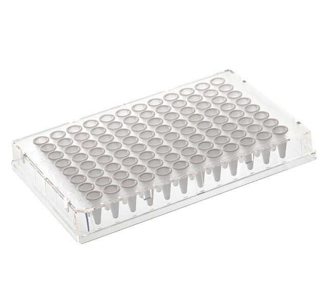 Armadillo PCR Plate, 96-well, clear, clear wells