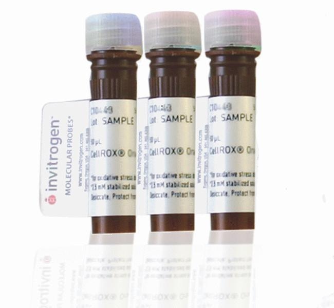 CellROX&trade; Reagent Variety Pack, for oxidative stress detection
