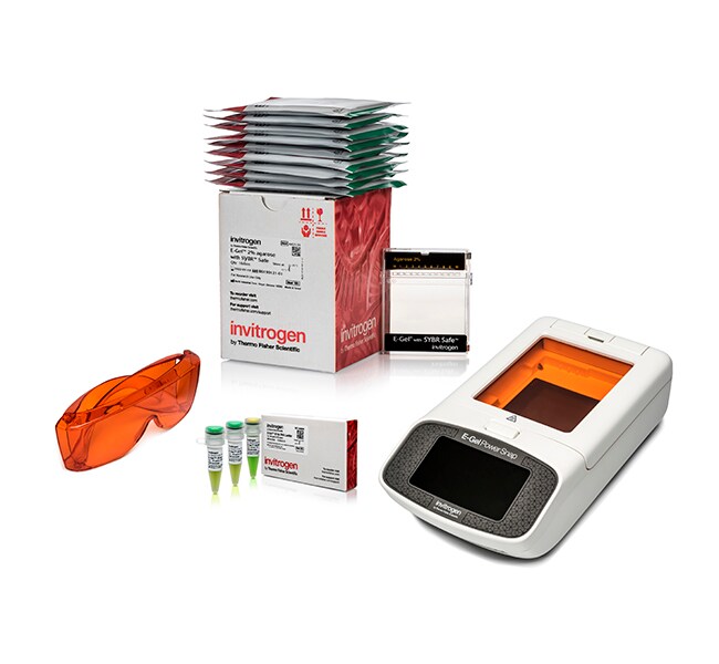 E-Gel&trade; Power Snap Electrophoresis Device Starter Kit, SYBR Safe 2%