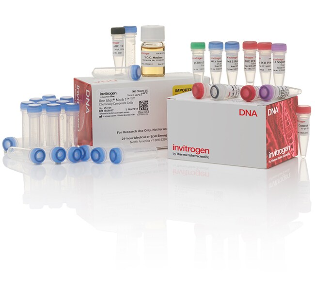 TOPO&trade; TA Cloning&trade; Kit for Sequencing, with One Shot&trade; Mach1&trade; T1 Phage-Resistant Chemically Competent <i>E. coli</i>