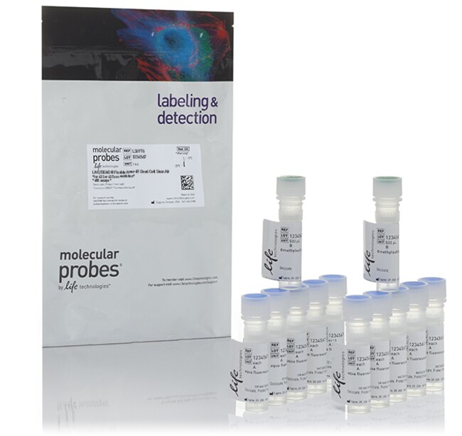 LIVE/DEAD&trade; Fixable Near-IR Dead Cell Stain Kit, for 633 or 635 nm excitation