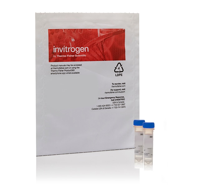 LIVE/DEAD&trade; Cell-Mediated Cytotoxicity Kit, for animal cells