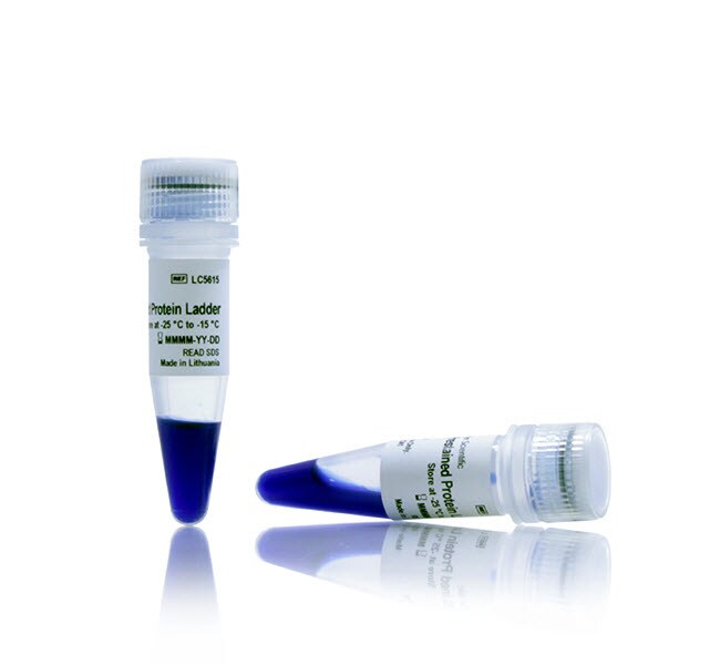 iBright&trade; Prestained Protein Ladder