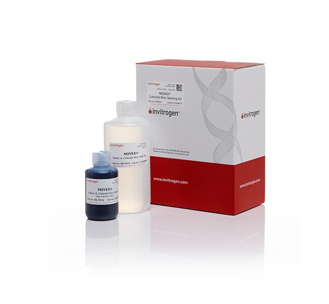 Colloidal Blue Staining Kit
