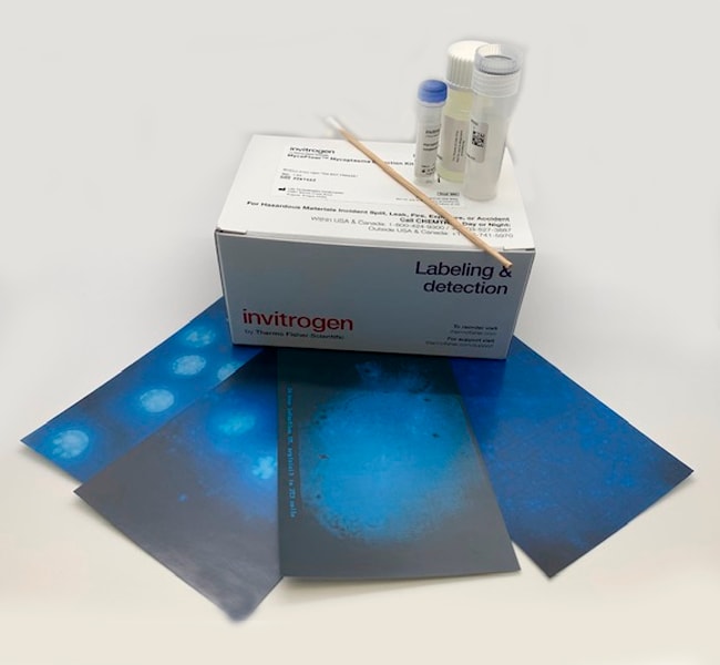 MycoFluor&trade; Mycoplasma Detection Kit