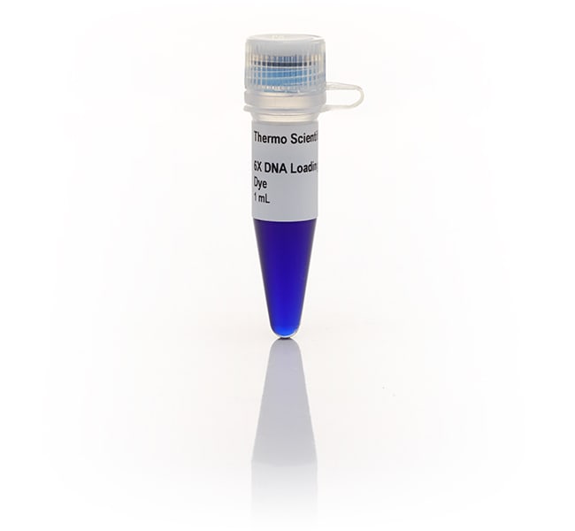 DNA Gel Loading Dye (6X)