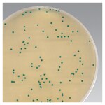 Chromogenic Cronobacter Isolation Agar (Dehydrated)
