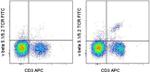 TCR V beta 5.1/5.2 Antibody in Flow Cytometry (Flow)