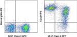 CD44H Antibody in Flow Cytometry (Flow)