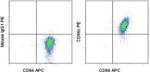 CD66c Antibody in Flow Cytometry (Flow)