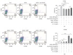 CD86 (B7-2) Antibody in Flow Cytometry (Flow)