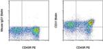 CD31 (PECAM-1) Antibody in Flow Cytometry (Flow)