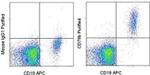 CD79b Antibody in Flow Cytometry (Flow)