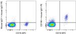 CD196 (CCR6) Antibody in Flow Cytometry (Flow)