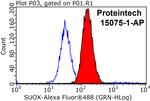 SUOX Antibody in Flow Cytometry (Flow)